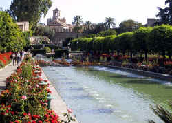 alcfountain3.jpg (70953 bytes)