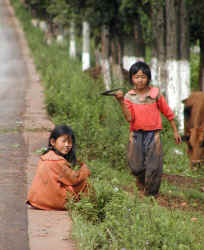 Kids in the country