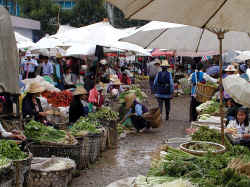 marketumbrellas.jpg (72779 bytes)