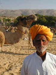 Nice teeth...  on the camel!