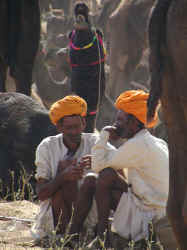 If at first you don't succeed, chai, chai again