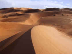 dunesmerzouga.jpg (34460 bytes)