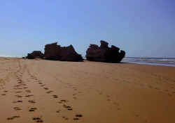 sandcastlesessaouira.jpg (27369 bytes)