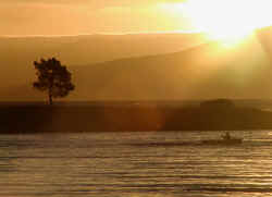 Rower on Lake Taupo at Sunset