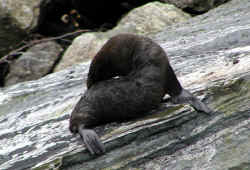 That seals it