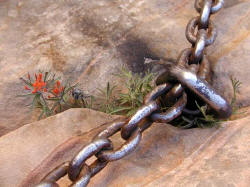 Chains required