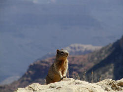 He wanted our pb&j