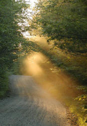 Ethereal Light