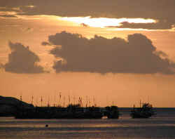 Fishing Boats at Dusk (Koh Tao)