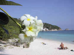 Rocky Bay (Koh Tao)