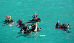 Learning to Dive (Koh Tao)