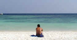 Life's a Beach (Koh Tao)