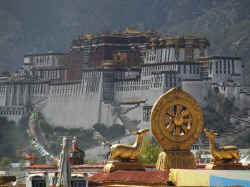 From the roof of the Jokhang